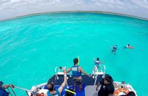 Full-Day Reef Snorkeling in Cozumel from Cancun with Lunch