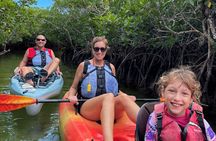 Mangrove Tunnel Kayak Adventure in Key Largo