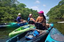 Mangrove Tunnel Kayak Adventure in Key Largo
