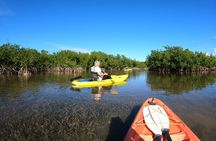 Mangrove Tunnel Kayak Adventure in Key Largo