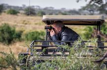 9 Days Migration Safari Tanzania Budget 