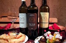 Private Wine Tasting by Party in Belgrade