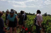 Saint Emilion Wine Tour Tasting Half Day from Bordeaux