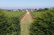 Saint Emilion Wine Tour Tasting Half Day from Bordeaux