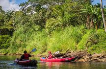 Kayak Safari
