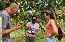 Cacao Farm & Chocolate tasting with a visit to Jubones desert