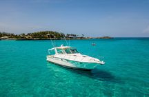 Private Snorkeling or Fishing in Nassau - 38ft Freestyle
