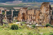 private Day trip from Fez to Volubilis-Meknes (without shopping)