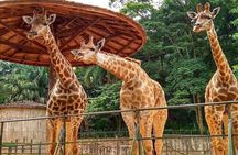 Kids & Family – Full Day Private Guided Tour in São Paulo
