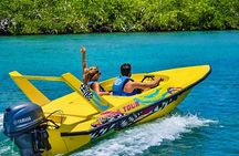 Mangrove Jungle Speedboat Experience 