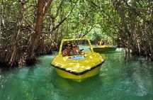 Mangrove Jungle Speedboat Experience 