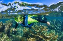 Nizuc Reef Snorkel Experience