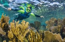 Nizuc Reef Snorkel Experience