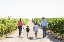 Guided Visit of Château l'Hospitalet with tasting of 4 wines