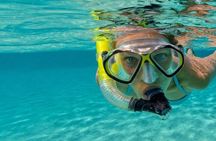 Reef Snorkel & Ocean Paddle Adventure in Fort Lauderdale Beach