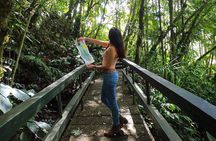 Visit The Greatest Orchid Sanctuary: Orquigonia - Half Day Tour