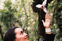 Visit The Greatest Orchid Sanctuary: Orquigonia - Half Day Tour