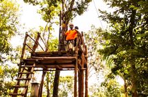 From Playa del carmen Experience ATV (Shared) Zipline & Cenote- Includes lunch 