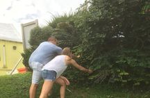 The Bermuda Tea and Tales Experience