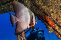 Refresher scuba diving trip, 3 dives at Racha Noi and Racha Yai