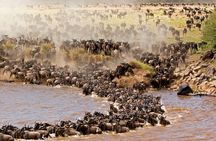 3-Day Maasai Mara Safari Tour from Nairobi