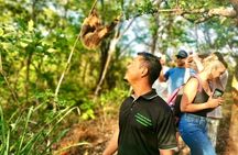 Sloth Sanctuary WildLife Hike