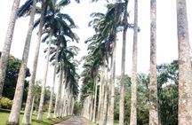 Aburi Botanical Gardens And Boti Falls Private Tour