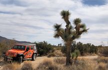Joshua Tree National Park Offroad Tour