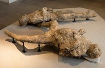 Private Archaeologist service to explore Pompeii's secrets any time ticket incl.