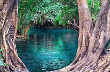 Chemka Hot Springs Tour from Moshi