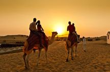Sunset Camel Trek with Sandboarding and Lavish BBQ Dinner Buffet