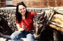 Private Captivating Santorini Highlights Tour inc. tastings