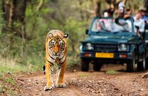 Golden Triangle Tour with Ranthambore (3 Star Hotel)