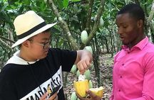 Cocoa Trail