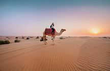 Red Dunes 4x4 Dubai Desert Safari