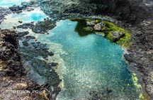 2. Nature, History of FOGO and relaxation at the natural pool of Salinas