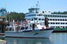 Guaranteed Whale Watching Tour