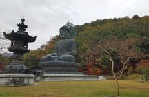 Mt. Seoraksan National Park Scenic Journey