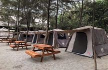 Serengeti, Ngorongoro and Manyara| 4 Days Camping Safari From Arusha
