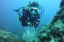 Baptism in the Northern Marine Reserve of Menorca
