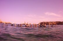 Safari snorkeling tour in Menorca