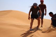 Dubai Morning Desert Safari Dune Bashing & Camel Ride Experience