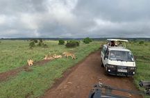 Nairobi national park Elephant orphanage and giraffe center tour.