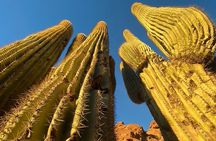 Epic Camelback Mountain Guided Hiking Adventure in Phoenix, Arizona