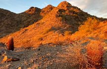 Amazing 2-Hour Guided Hiking Adventure in Phoenix, Arizona