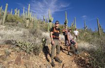Amazing 2-Hour Guided Hiking Adventure in Phoenix, Arizona