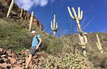 Scottsdale Desert Classic Guided Hiking Adventure