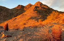 Hiking Adventure in the Sonoran Desert