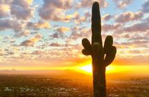 Hiking Adventure in the Sonoran Desert