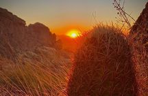 Hiking Adventure in the Sonoran Desert